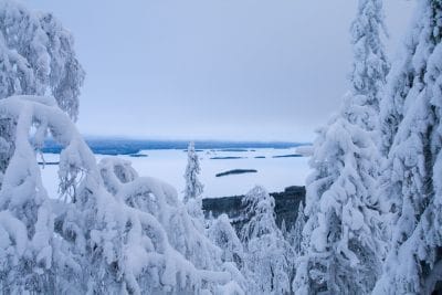 Nationalpark Finnland Koli